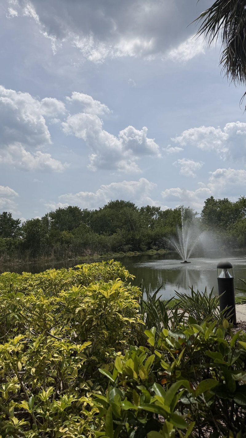 Renaissance fountain